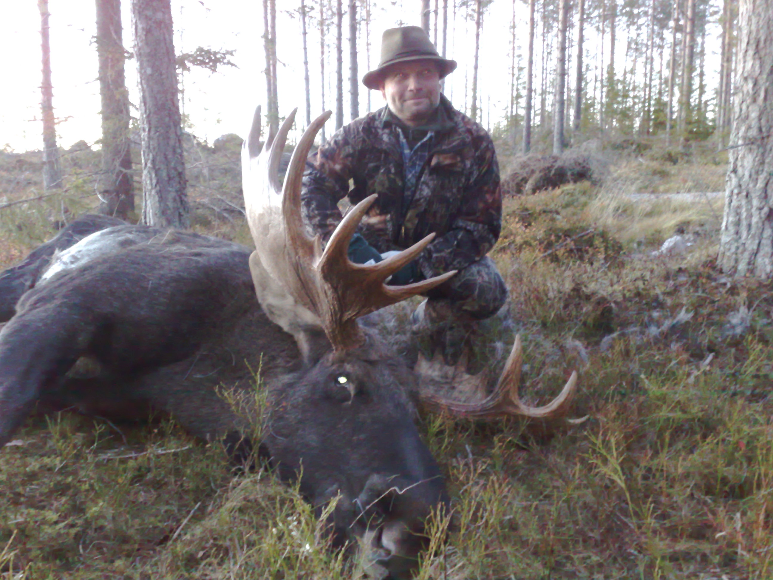 Ola med guldtjur