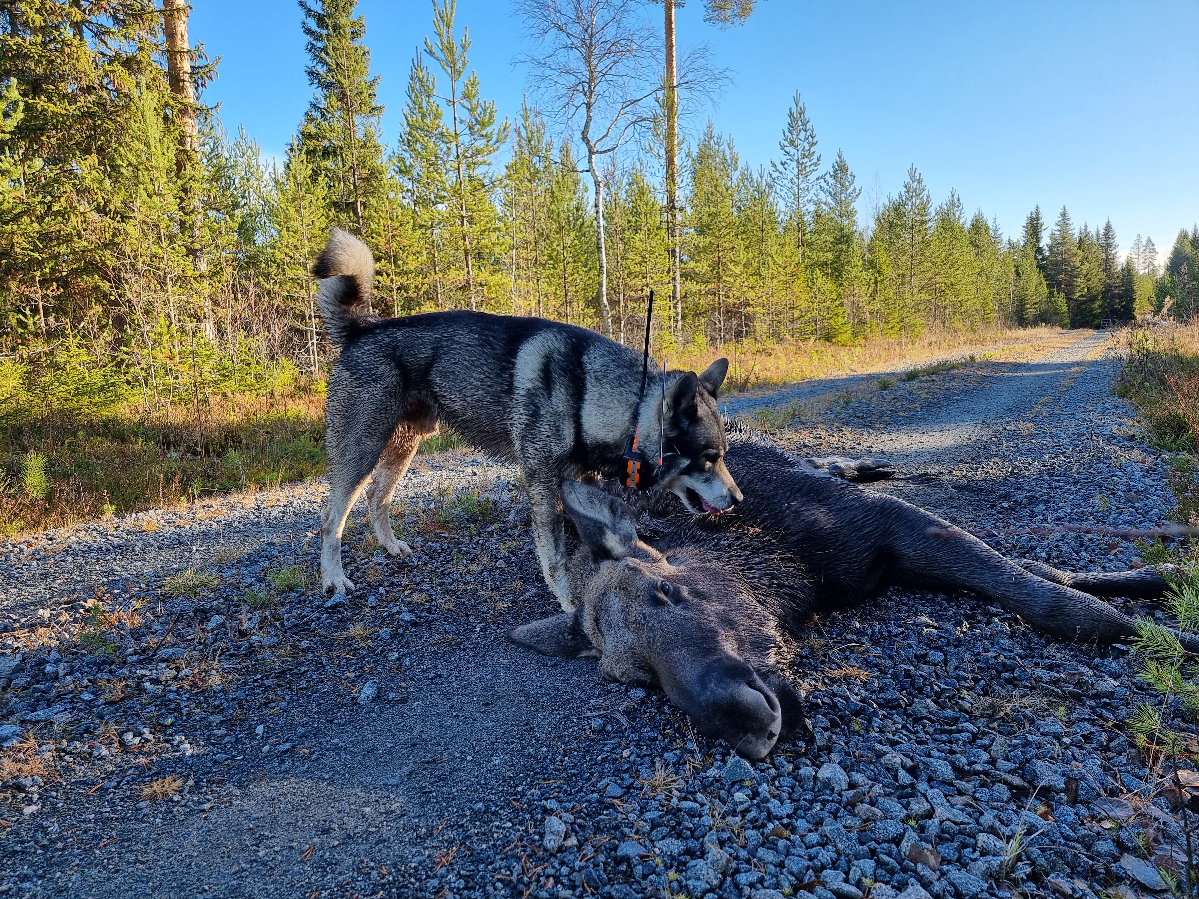 Flottsjöbergets Astok