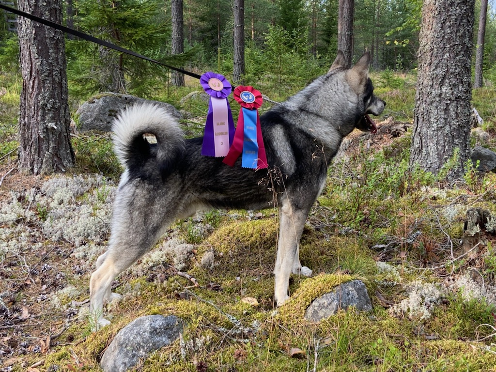 Flottsjöbergets Hero